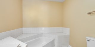 164 White Branch Court Gallery 17