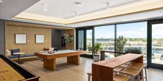 Starling Gallery 23