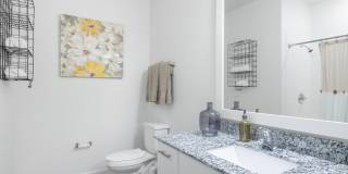 Cortona South Tampa Gallery 6