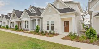 Beautiful New Construction 3/2.5 Home, Located off Centerville in Canopy Subdivision Gallery 5