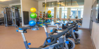 Modera Belmont Gallery 31