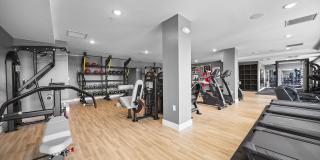 The Galaxy at Polaris Gallery 66