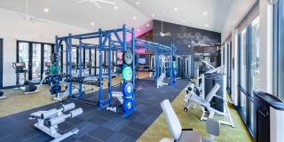 LVB Gallery 11