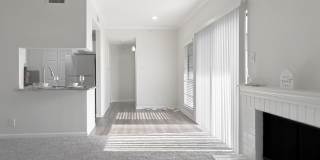 Derby at Steeplechase Gallery 19