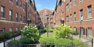 3308 Schubert Gallery 1