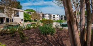 Ashley Apartments Gallery 13