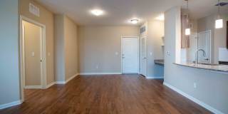 Century Dunes Gallery 29