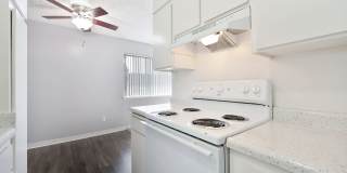 The Canopy Gallery 6