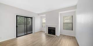 Bristle Pointe Gallery 3