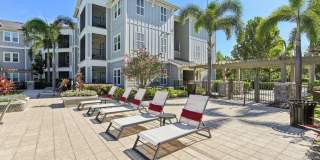 The Lotus at Starkey Ranch Gallery 3