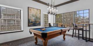 The Haven of Ann Arbor Gallery 12