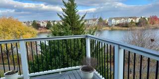 20594 CORNSTALK Terrace Gallery 1