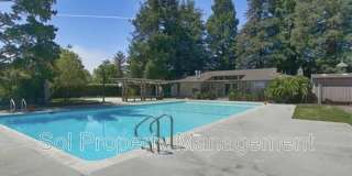 221 Palo Verde Terrace Gallery 23