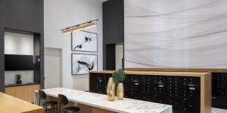 Cascade Link at Douglas Gallery 18