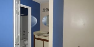 3803 Chimney Ridge Place Gallery 7