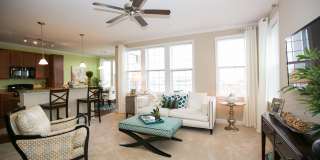 Vista View Gallery 4