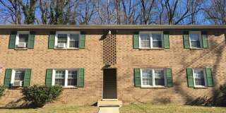 Updated 2 Bedroom, 1 Bath Apartment Gallery 1