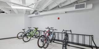 The Treasury Gallery 5