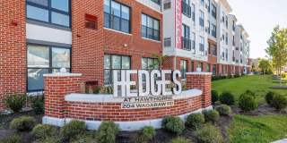 Hedges at Hawthorne Gallery 6