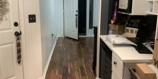 3443 Treaty Oak Trail Gallery 20