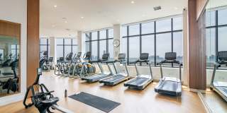 Oriana Oriana Gallery 7