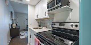 Polanco Apartments Gallery 17