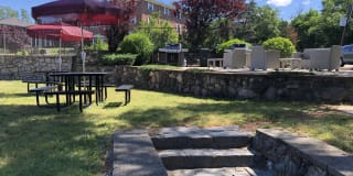 Mill Street Gardens Gallery 28