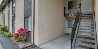 Roomy Remodeled  Kirkland Condo Gallery 19