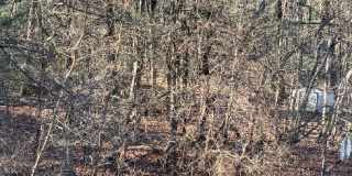 65 Newman Road - D Gallery 1
