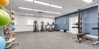 Vivo Living Charlotte Gallery 12