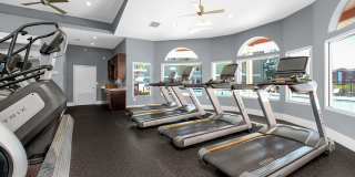 TGM University Park Gallery 32