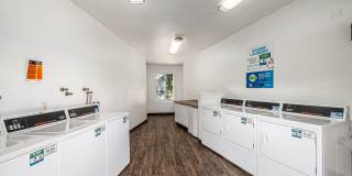The Marquee Apartments Gallery 26