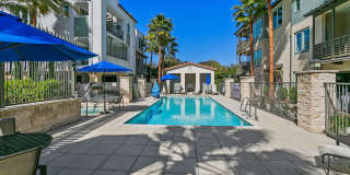 Doheny Beach Gem Gallery 26