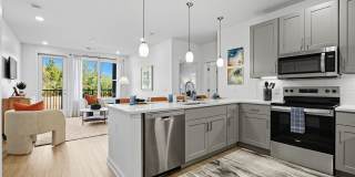 The Galaxy at Polaris Gallery 10