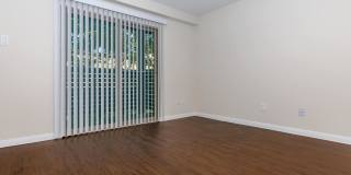 Autumn Wood Gallery 11