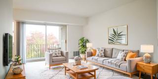 Park Place Gallery 1