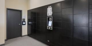 Prose Ascend Gallery 39