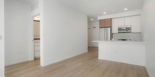 Quin + Nita Gallery 65