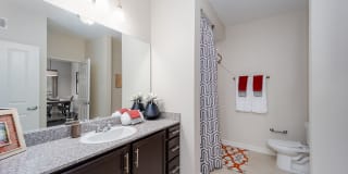 Lane Parke Apartments Gallery 6