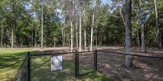 Grand Cypress Gallery 43