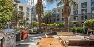 Aster - Affordable Housing Gallery 17