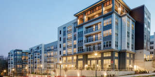 Vine North Hills Gallery 26