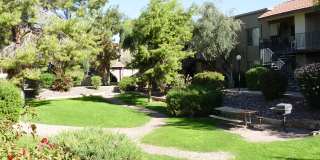 Desert Springs Apartments Gallery 1