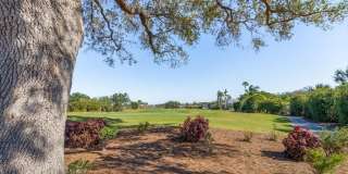 8251 Grand Palm Dr Gallery 31