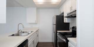 The Pacific at Mission Bay Gallery 14