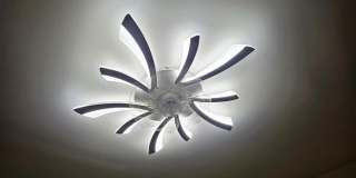 607 S 5th Avenue Gallery 7