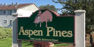 Aspen Pines Gallery 187