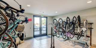 The Cameron Gallery 18