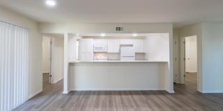 Biltmore Biltmore Gallery 4