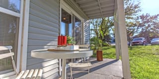 TGM Autumn Woods Gallery 13